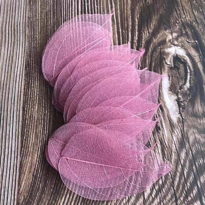 5~9CM*2~3.5CM,100PCS/Set,Real  - Dried Flower Pressed ulasan dan harga