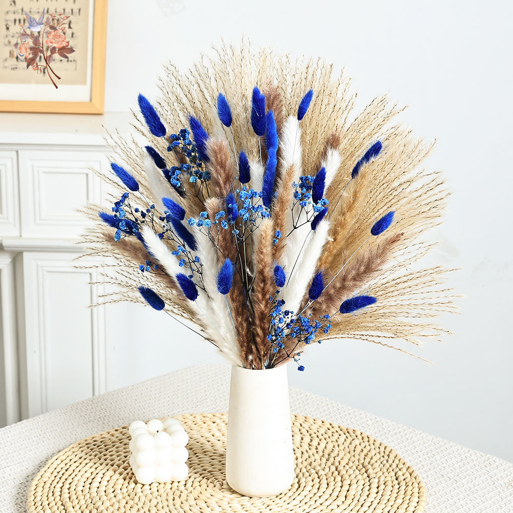 70 Stem Blue Fluffly Rabbit Ta - Dried Flower Pressed ulasan dan harga