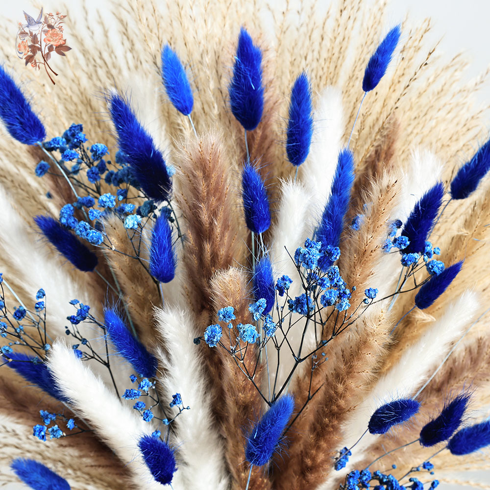 70 Stem Blue Fluffly Rabbit Ta - Dried Flower Pressed ulasan dan harga