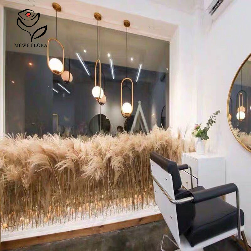 200PCS Natural Dried Fluffy Re - Dried Flower Pressed ulasan dan harga