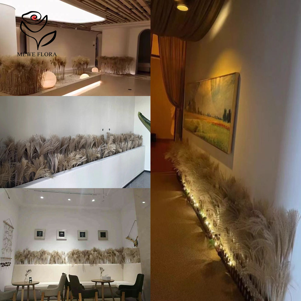 200PCS Natural Dried Fluffy Re - Dried Flower Pressed ulasan dan harga