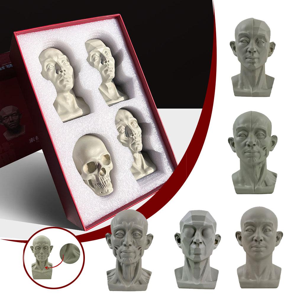Art Plaster Portrait Teaching  - Resin Art Learning ulasan dan harga