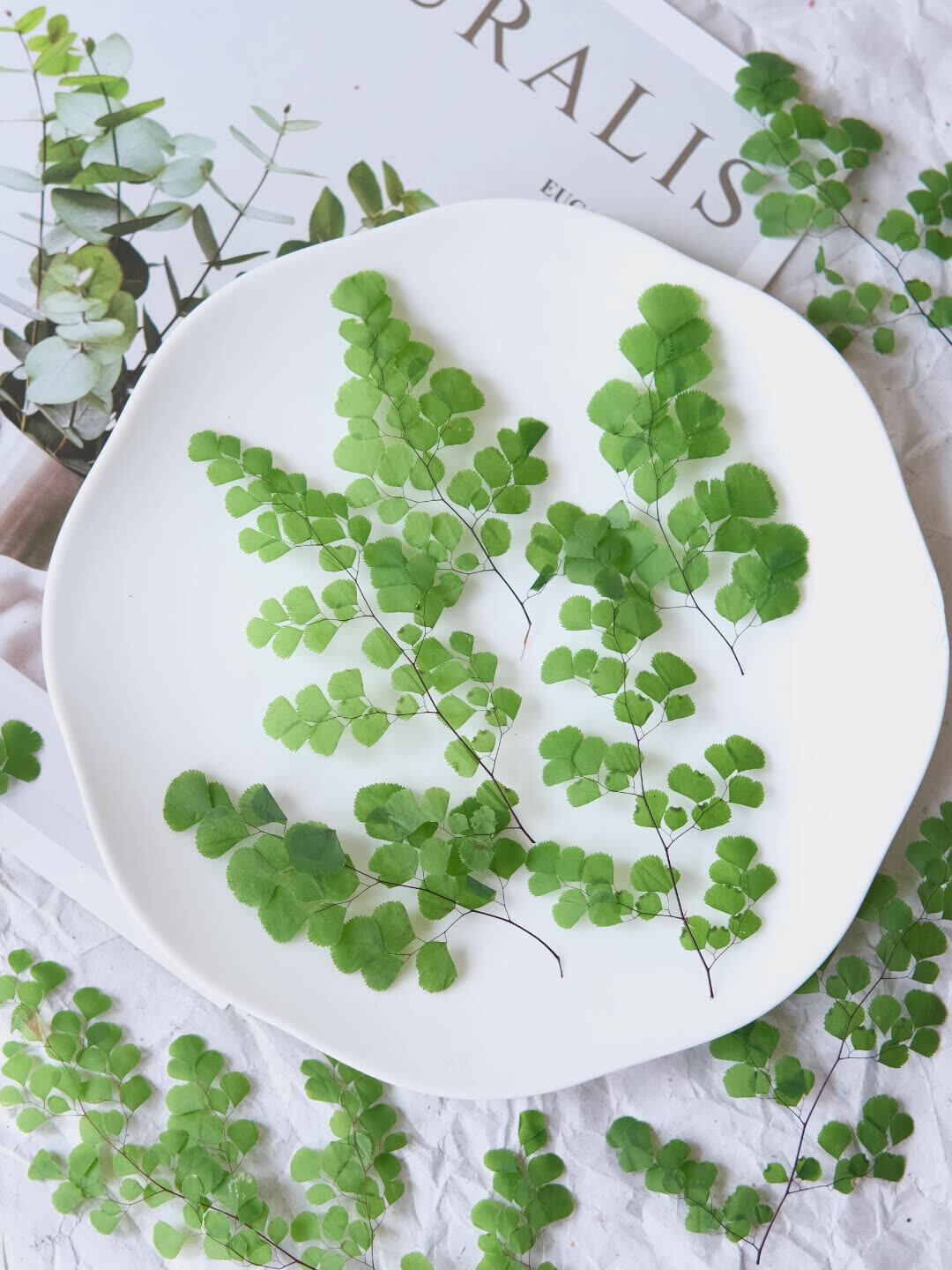 60Pcs Natural Plant Real Flowe - Dried Flower Pressed ulasan dan harga
